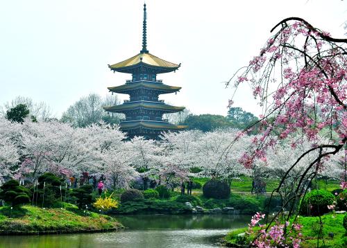 CSE2019 內(nèi)分泌年會(huì)精彩回顧｜學(xué)術(shù)盛典大咖云集，丹納泵獲眾人矚目